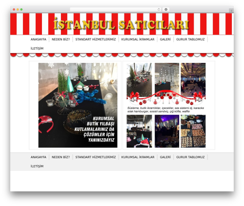 WordPress theme DTH - istanbulsaticilari.com
