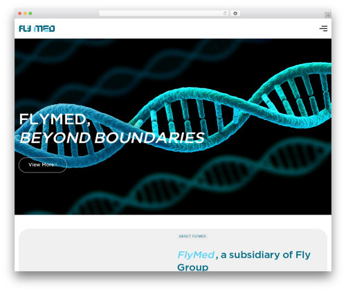 WordPress theme Gurus - flymed-eg.com WordPress theme Gurus - flymed-eg.com