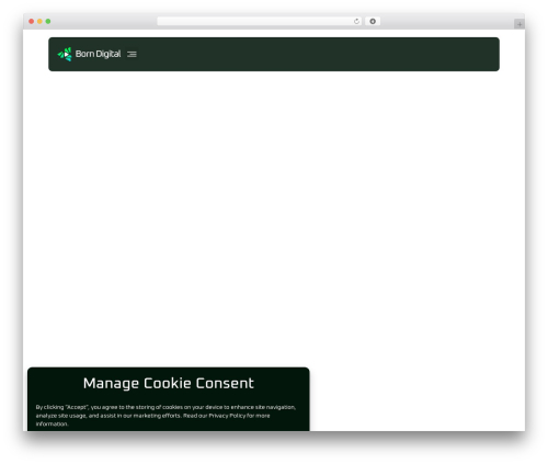 Convertcalculator WordPress plugin - borndigital.ai