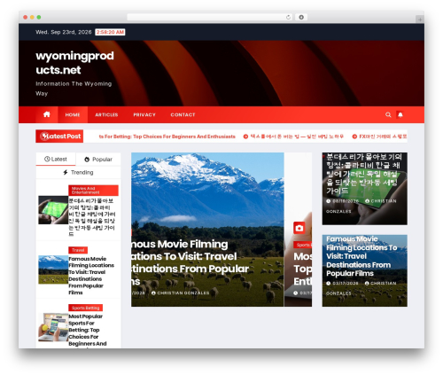 Tranzly: AI DeepL WordPress Translation (tranzly) free WordPress plugin - wyomingproducts.net