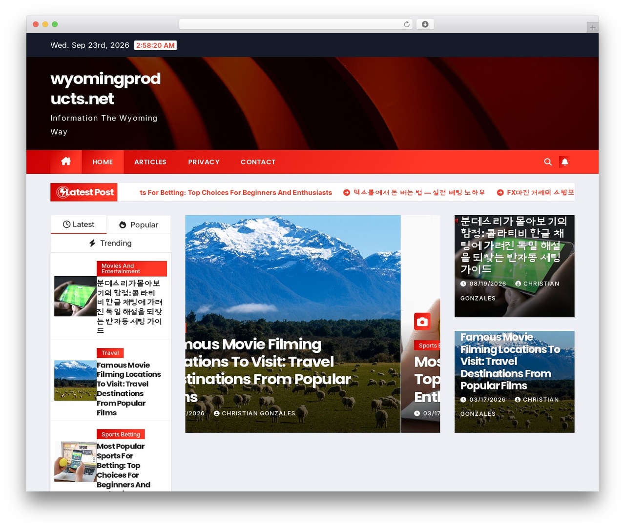 Newsup WordPress page theme - wyomingproducts.net