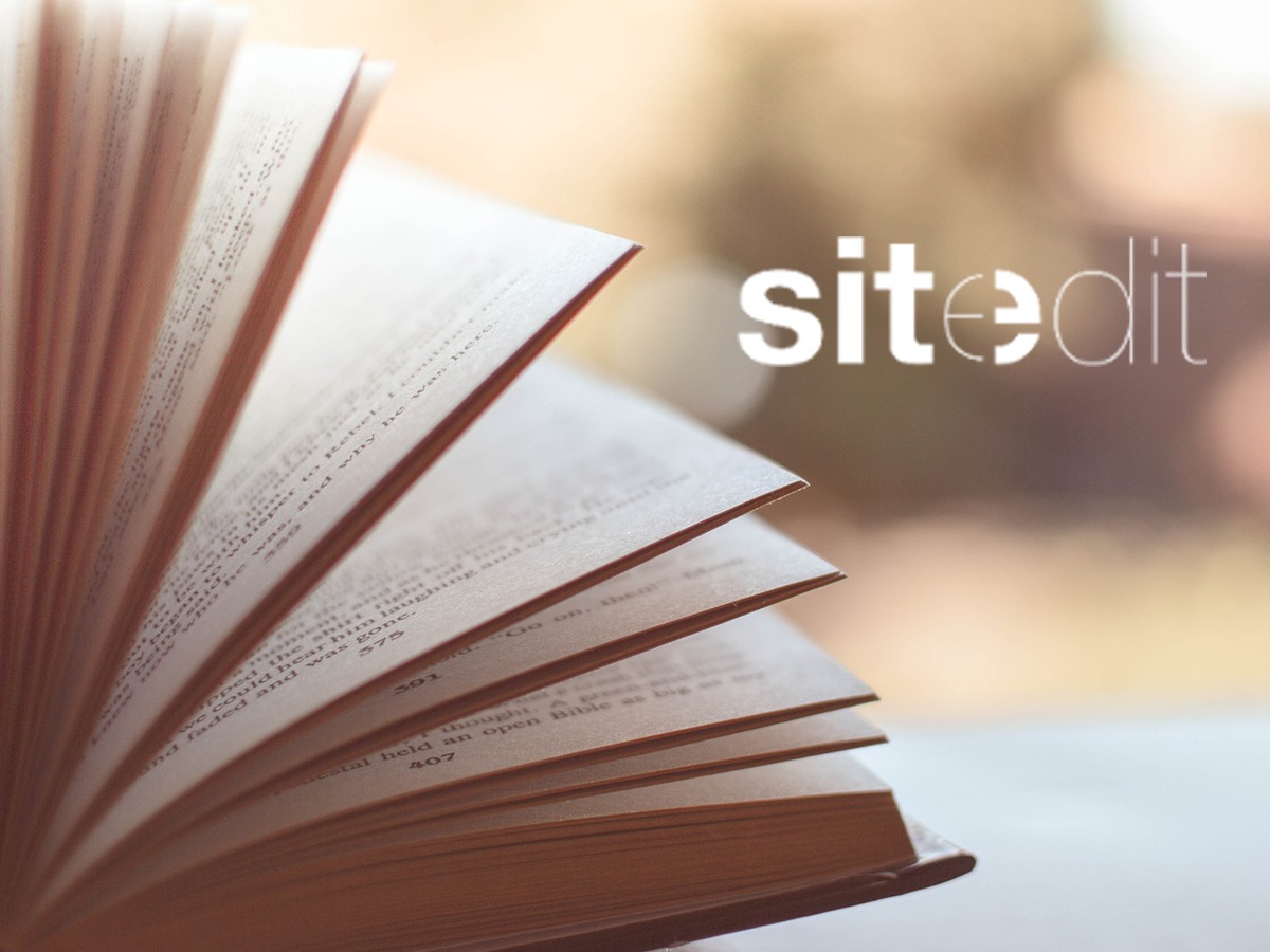 SITEDIT WordPress theme by Sitedit