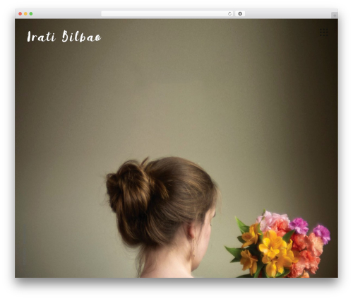 Dzs videogallery WordPress plugin - iratibilbao.com
