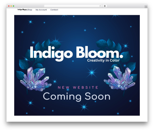 T42 content protector WordPress plugin - indigobloomcoloringbooks.com