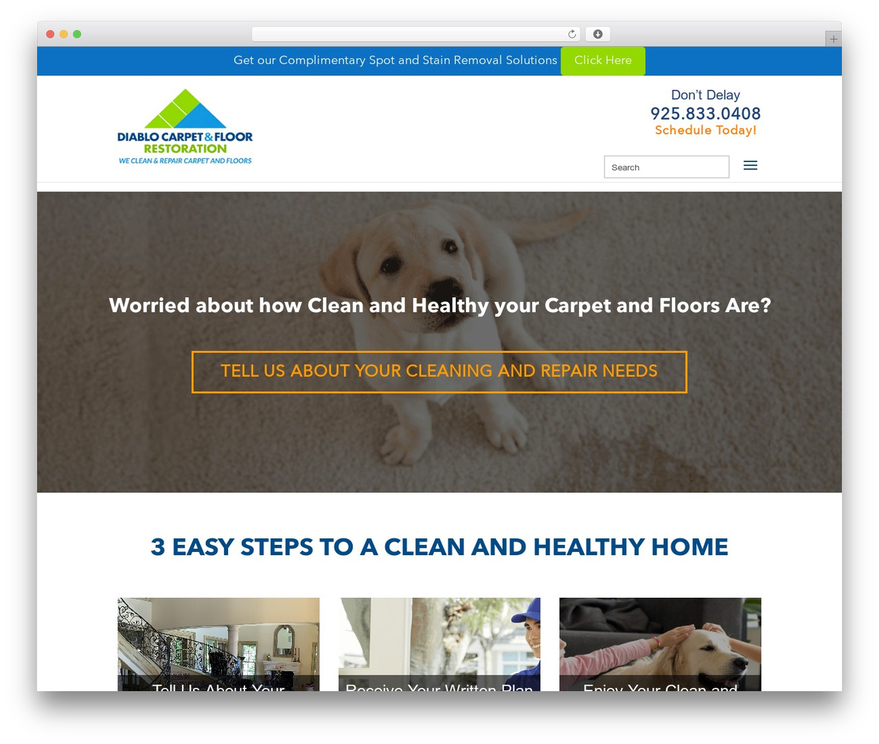Divi WordPress theme - diablocarpet.com Divi WordPress theme - diablocarpet.com
