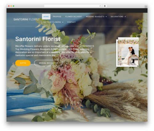 Materialis Companion (materialis-companion) free WordPress plugin - santoriniflorist.com Materialis Companion (materialis-companion) free WordPress plugin - santoriniflorist.com