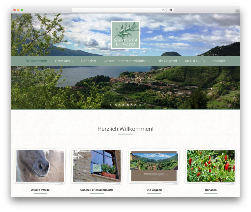 Curly extension WordPress plugin - islandpferde-in-harmonie.com