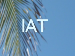 WordPress theme IAT