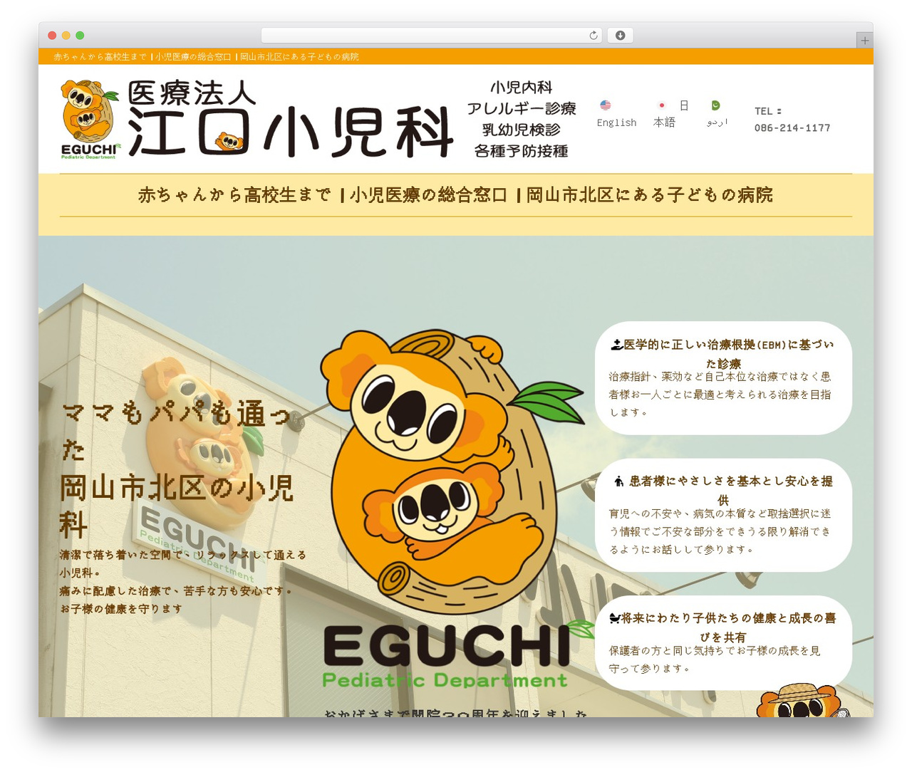 Xwrite WordPress theme - dr-koala.com