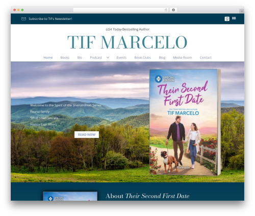 Novelist (novelist) free WordPress plugin - tifmarcelo.com