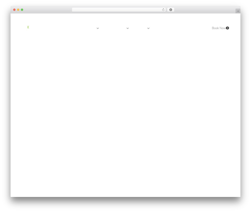 Romethemeform WordPress plugin - extraordinaryeventsandtours.com