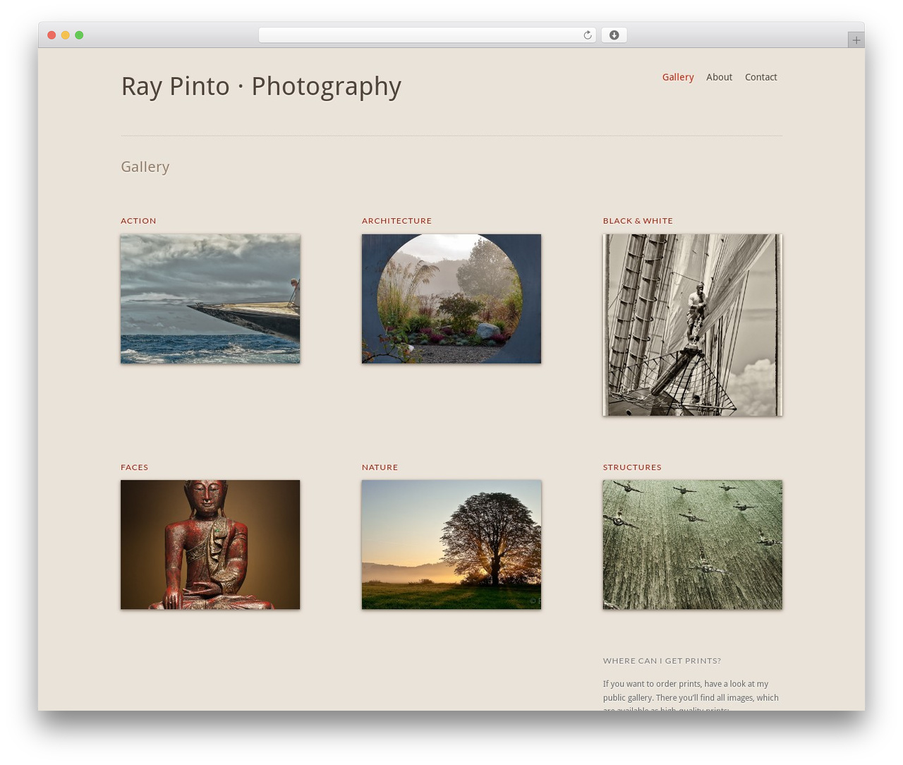 React PRO Child Theme WordPress theme image - raypinto.com React PRO Child Theme WordPress theme image - raypinto.com