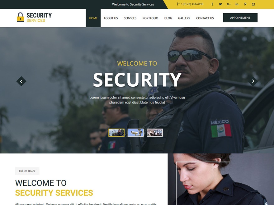 secure WordPress photo theme
