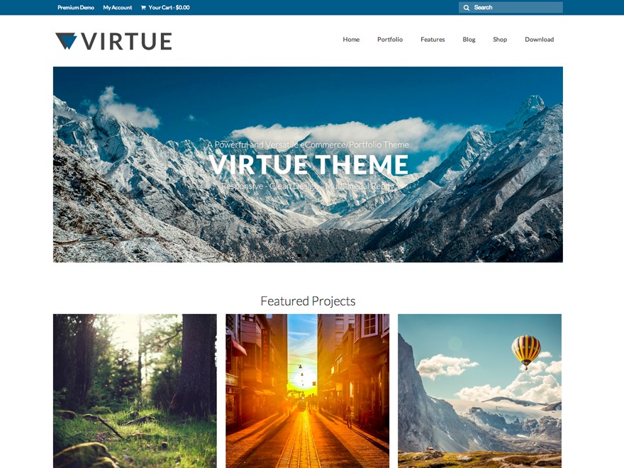 Analytics theme WordPress