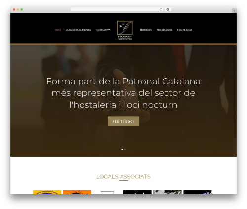 Base Pro Child Theme theme WordPress - fecasarm.cat