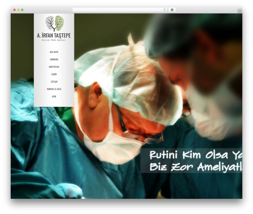 Big Gallery WP WordPress theme - irfantastepe.com