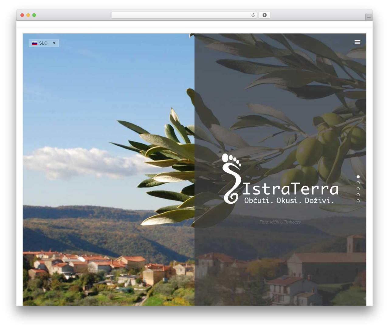Borderland WP theme - istraterra.com
