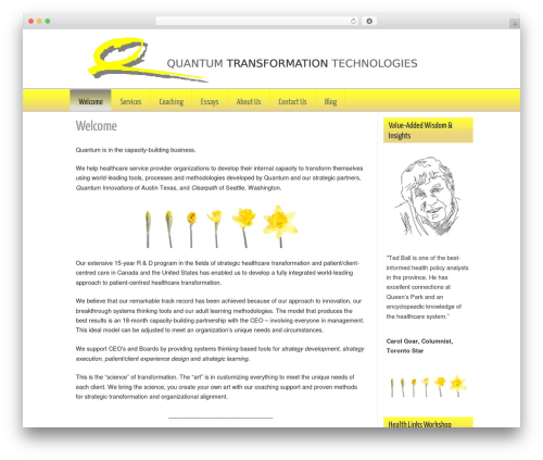 Builder WordPress website theme - quantumtransformationtechnologies.com
