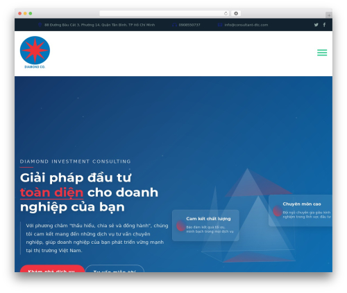 Cryption best WordPress theme - consultant-dtc.com