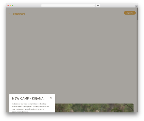 WordPress Live Chat Plugin – Olark (olark-live-chat) free WordPress plugin - robinpopesafaris.net