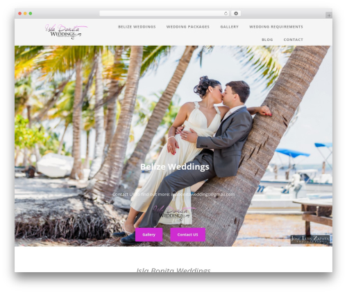 Theme WordPress Optimizer - islabonitaweddings.com