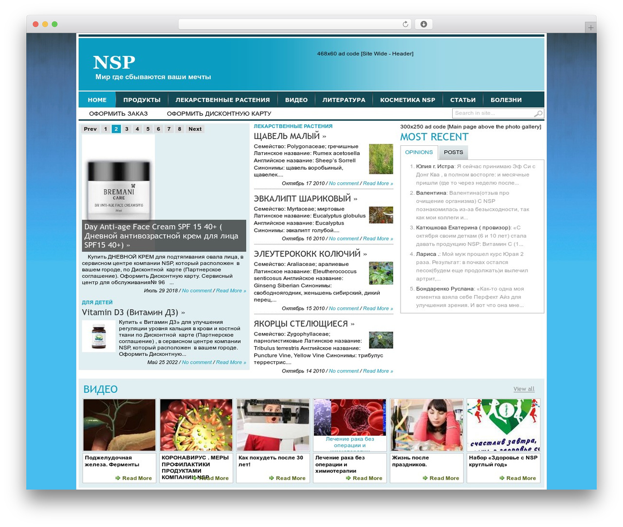 Transcript WordPress theme - illariyansp.com