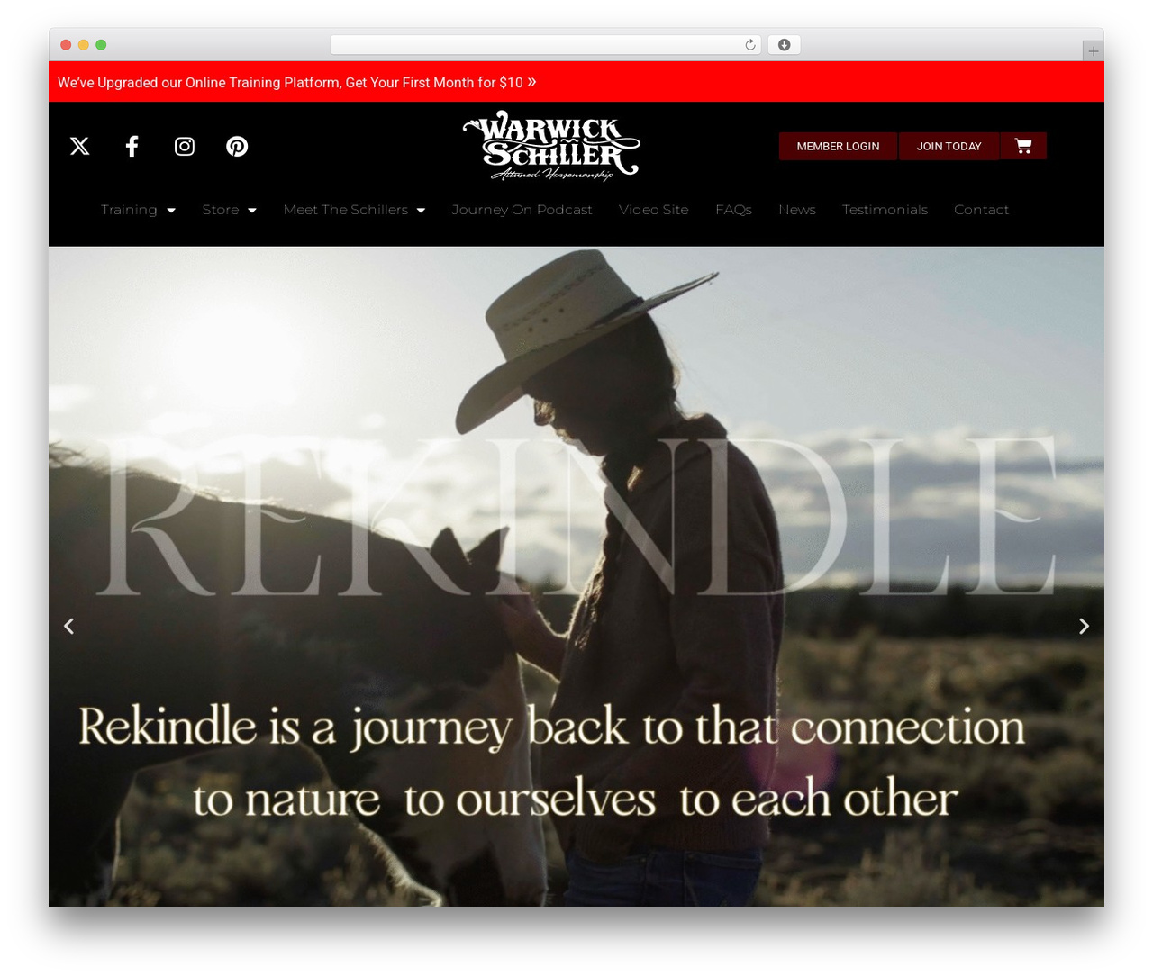 WarwickGrid WordPress theme design - warwickschiller.com WarwickGrid WordPress theme design - warwickschiller.com