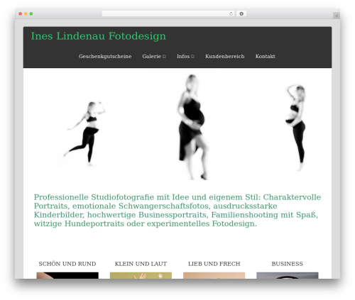 Asteria Lite top WordPress theme - ineslindenau.de
