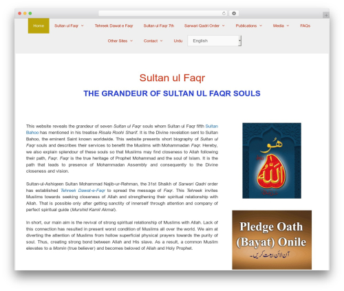 Omnisend WordPress plugin - sultanulfaqr.com