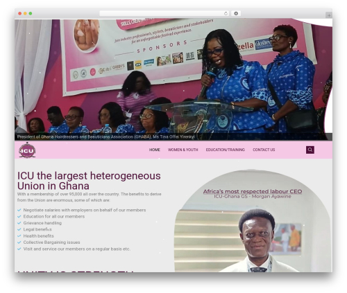 Hello Elementor premium WordPress theme - icu-ghana.org