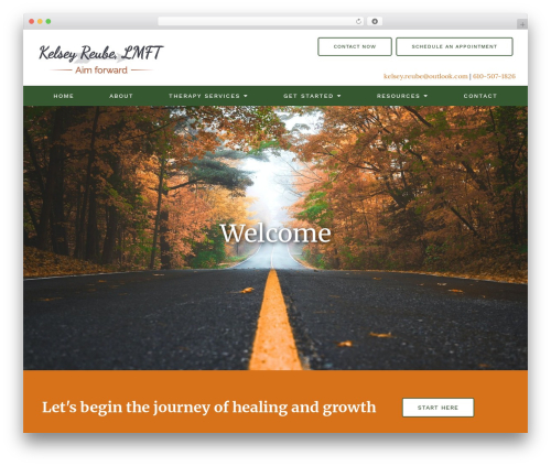 Megatheme WordPress theme - kelseyreubetherapy.com