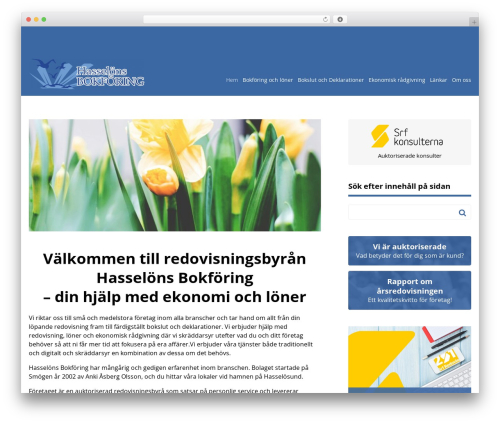 Advanced Google reCAPTCHA (advanced-google-recaptcha) free WordPress plugin - hasselonsbokforing.se
