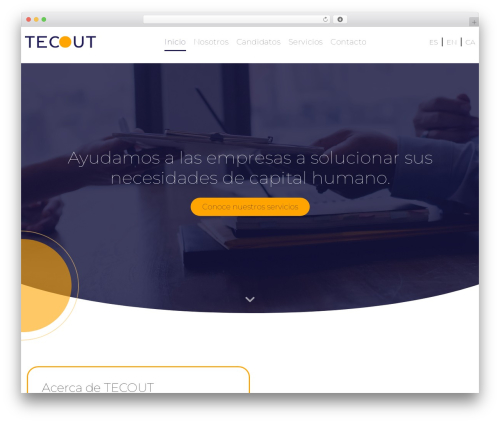 Theme WordPress Startup - tecout.net