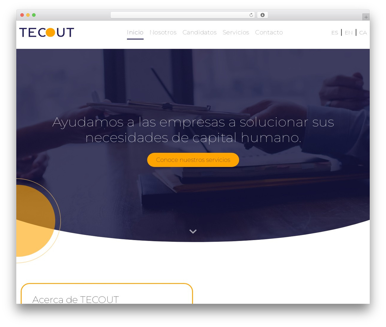 Theme WordPress Startup - tecout.net Theme WordPress Startup - tecout.net