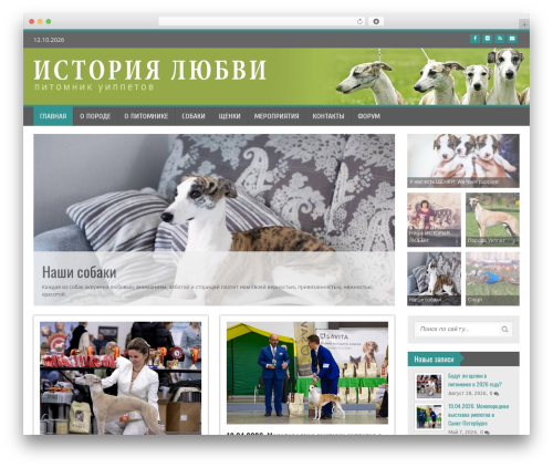Masonry Layout ( Post Grid Layout ) (wp-masonry-layout) free WordPress plugin - istoriyal.ru Masonry Layout ( Post Grid Layout ) (wp-masonry-layout) free WordPress plugin - istoriyal.ru