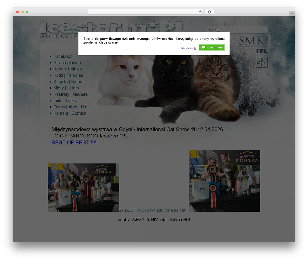 WordPress theme Icestorm */ - icestorm.eu WordPress theme Icestorm */ - icestorm.eu