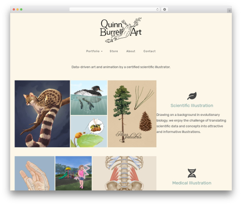 Cyclone slider pro WordPress plugin - quinnburrell.com