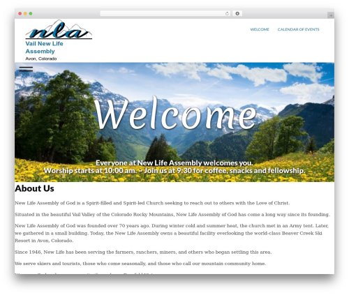WordPress website theme Alluring eCommerce - vailnewlife.org