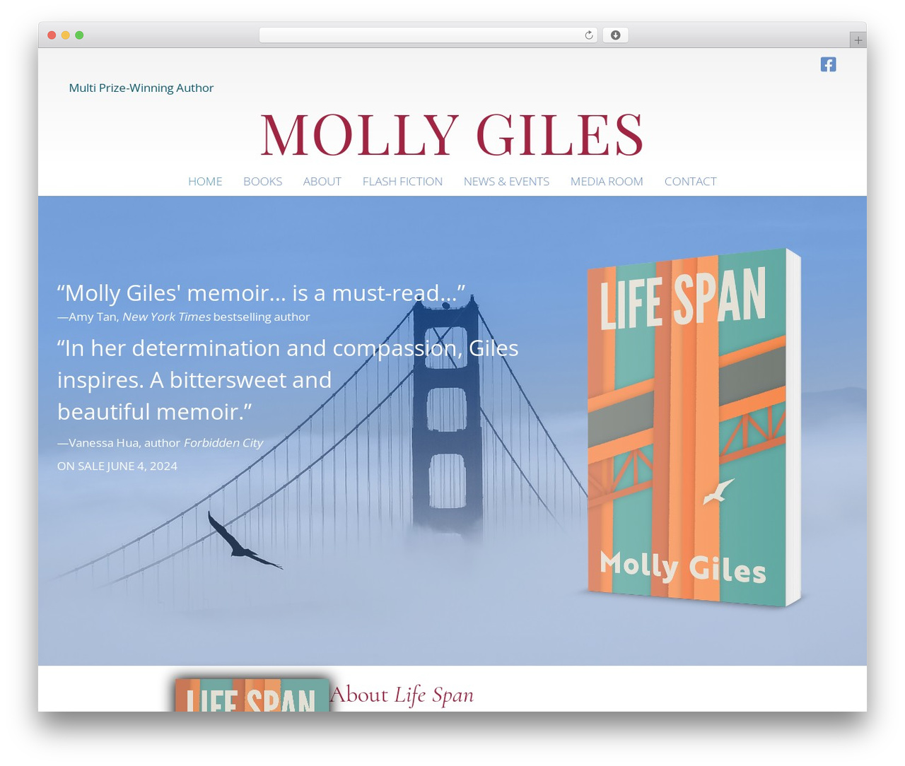 WP theme Beaver Builder Theme - mollygiles.com WP theme Beaver Builder Theme - mollygiles.com