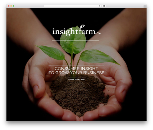 Ut portfolio WordPress plugin - insightfarm.biz