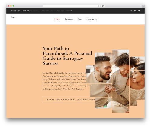 chapterone WordPress theme - surrogacyroadmap.com