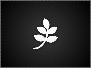 iwalkthrough theme WordPress
