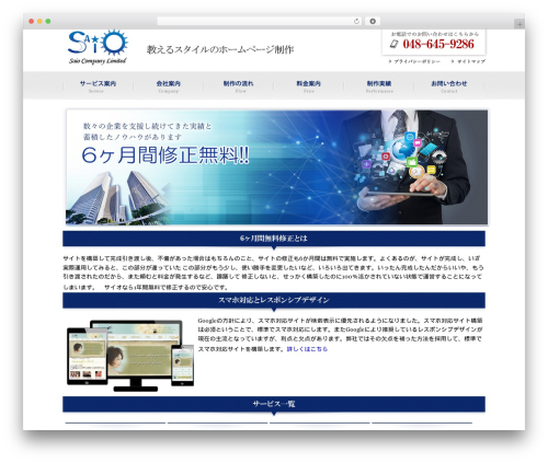 Sample Theme WordPress theme - saio-co.com