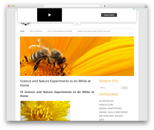 Tiny Forge premium WordPress theme - infinitespider.com