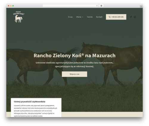 WordPress theme wp_theme - zielonykon.pl