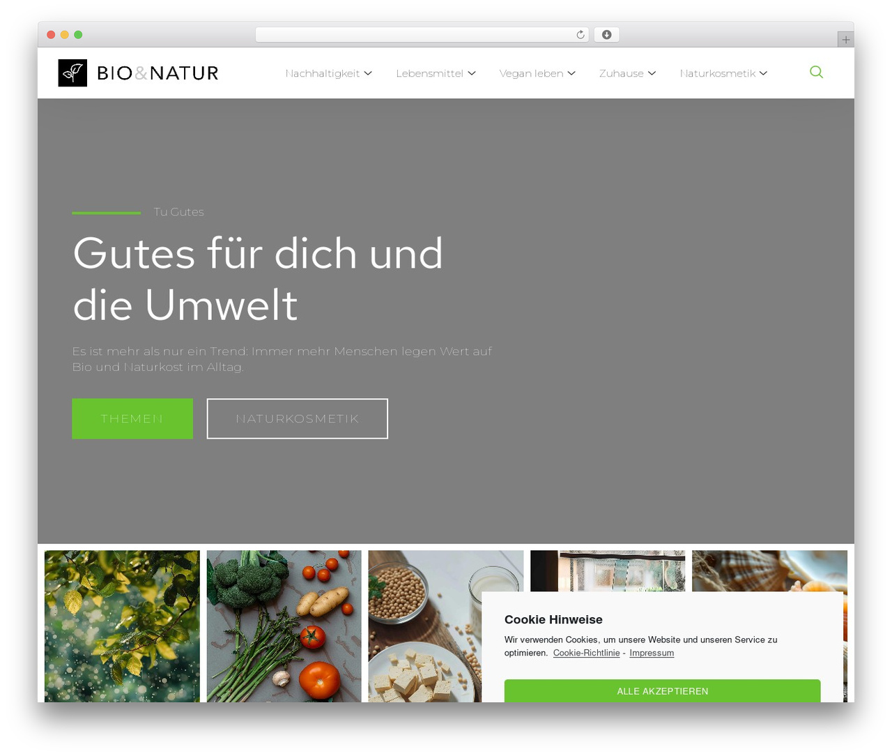 WordPress theme Hello Elementor - betterlivegreen.com WordPress theme Hello Elementor - betterlivegreen.com