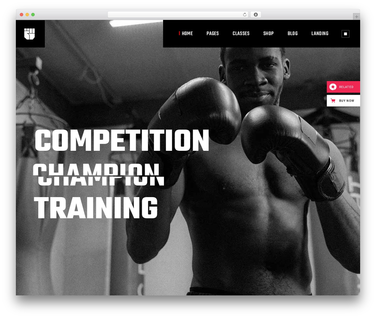 WordPress theme Knockout - knockout.qodeinteractive.com WordPress theme Knockout - knockout.qodeinteractive.com