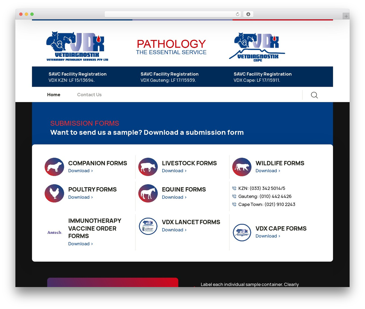 Agrios theme WordPress - vetdiagnostix.com Agrios theme WordPress - vetdiagnostix.com