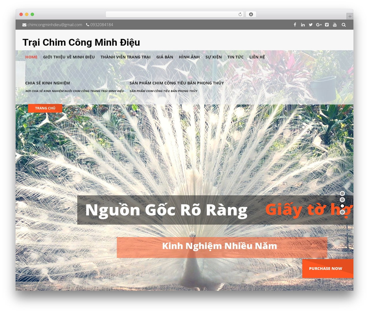 Best WordPress theme Elevation - chimcongcanh.com Best WordPress theme Elevation - chimcongcanh.com