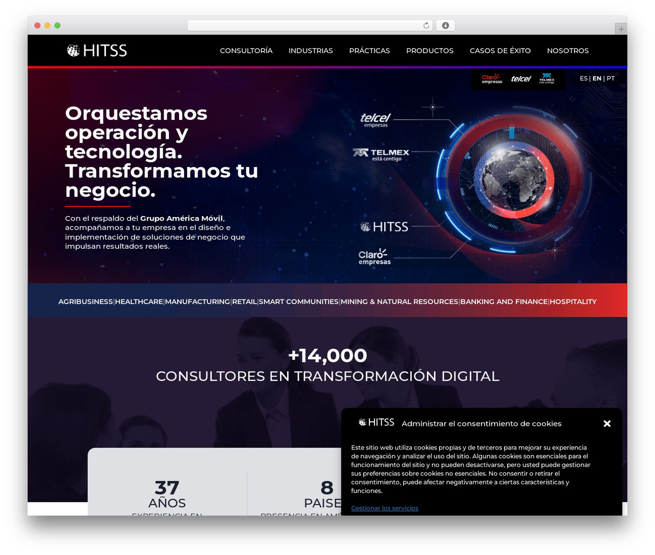 WordPress theme Divi - www.hitss.com